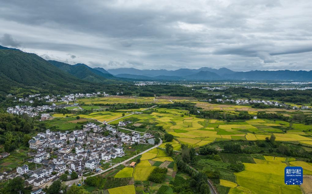 云顶游戏每天送6金币